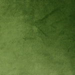 Laden Sie das Bild in den Galerie-Viewer, McAlister Textiles Matt Fern Green Piped Velvet Cushion Cushions and Covers