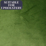 Laden Sie das Bild in den Galerie-Viewer, McAlister Textiles Matt Fern Green Velvet Fabric Fabrics