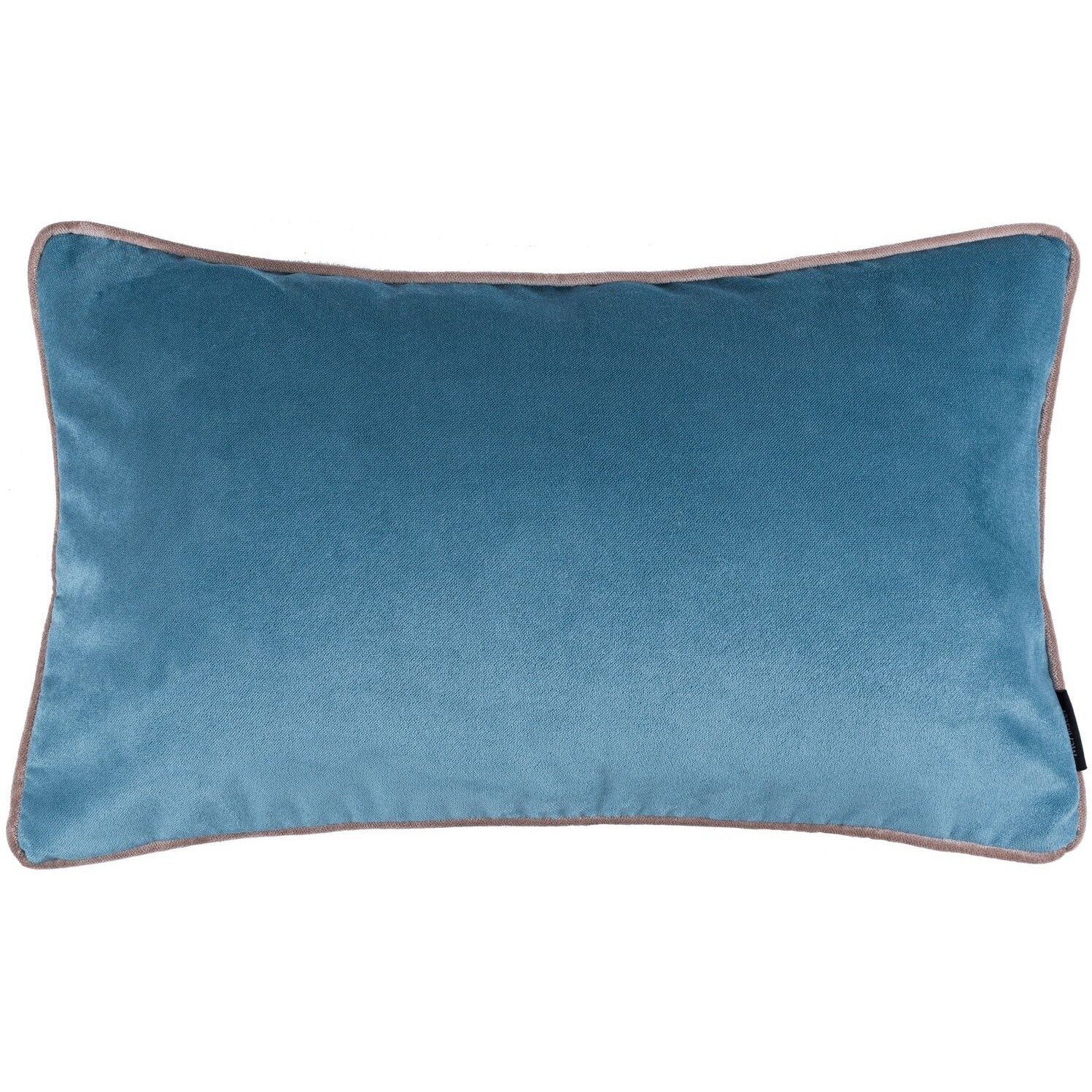 McAlister Textiles Matt Duck Egg Blue Contrast Piped Velvet Cushion Cushions and Covers 