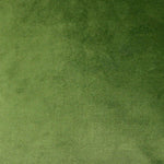 Laden Sie das Bild in den Galerie-Viewer, McAlister Textiles Matt Fern Green Velvet Fabric Fabrics 1 Metre 
